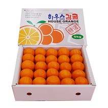 자체브랜드 비가림 밀감 감귤5kg, 타이팩밀감5kg65과내