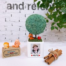 스칸디아모스 천연이끼나무 공기정화 주문제작, 07.빅큐브 포토트리-퍼시픽그린