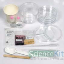 산염기 지시약 실험 키트 매직볼 자색고구마 4인 실험키트 중등과학 초등과학실험 과학기자재 방과후교실