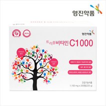 영진약품 트리플 비타민 C1000, 200정, 1개