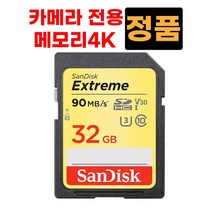 32GB 파나소닉 루믹스 DC-GH5s DC-GH5?4K