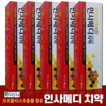 유유제약 인사메디치약 100g (5개) 약국전용 좋은치약