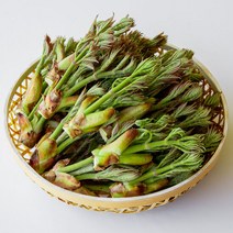 제철나물 국내산 생두릅 참두릅 300g, 단품