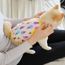 동그랑댕 강아지티셔츠 반려견옷 애견실내복 땡땡이 잠옷 내복 끈나시 난닝구, 옐로우