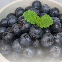 생블루베리 250g 겨울-봄/수입산 여름/국내산, 단품, 단품