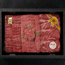 1++등급한우선물세트(1.2kg)/이바지 한우 예단한우 명절선물, 추가없음(1.2kg)