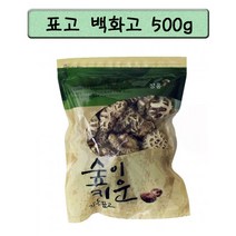 정남진 장흥 표고버섯 백화고 500g 표고버섯 중 으뜸 갓의 퍼짐이 거의없고 육질이 두꺼움 봄 가을만 까다로운 수확으로귀한버섯