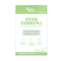 비타민마을 퍼펙트바이오틱스 차전자피 프로바이오틱스 30p, 43개, 180g