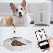 강아지 고양이 반려동물 음성녹음 배식기 사료 자동급식기 어플리케이션 원격연동, 와이파이형