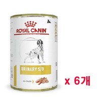 로얄캐닌 독 유리너리 캔 410g+6개 처방식 하부요로 URINARY SO 건식사료>>기능성사료>>기타, 단품” class=”wr-img”></a></div>
</p></div>
</p></div>
</p></div>
<div class=