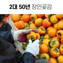 선물용 상주곶감 꽂감 꽃감 반건시 영동곶감 혼합선물세트, 혼합세트3호(건시+잣+호두말이+건시)