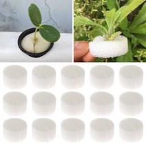 50pcs 흙이없는 수경 야채 보육 냄비 보육 스폰지 꽃 씨앗 흙이없는 재배 시스템 종자 트레이, White, 73mm