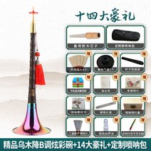 태평소 레슨 독학 풀 세트 초보자 취미 국악기 중고 배우기 초보 사물놀이 강좌 부는법 심심할때 할만한것, O 세트