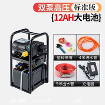 텃밭 고압 농산물 농약주기 물주기 휴대용 전기 소독 충전식 스프레이 지능형 분무기 세차가능 고압세척기, 이중 펌프 -12A 표준 버전개