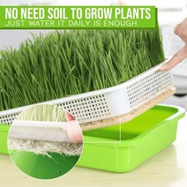 콩나물키우기 숙주 새싹 옹기 1set Sprout Dish Growing Pot Hydroponic Vegetable Beans Household Plants, 01 1pc