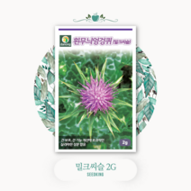밀크씨슬 씨앗 2g 흰무늬엉겅퀴 종자