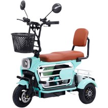 삼륜오토바이 3륜 전기 스쿠터 출퇴근 미니 바이크, 전기 세발자전거 48V