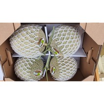 프리미엄 고당도 머스크메론 8KG 4수