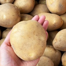 2023년 수확 국내산 햇 감자 수미감자 타박한감자, 조림용 알감자, 3kg