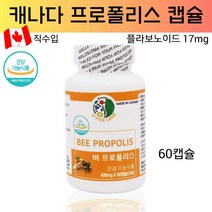 U PICK LAND 프로폴리스 플라보노이드 구강건강 항산화 비프로폴리스 캡슐 bee propolis 면역력에 좋은 영양제 직수입 식약처 검사필 캐나다산, 1개, 400mgx60캡슐