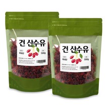 건산수유 열매 구례 말린 지리산 건산수유 의성 국산 전남 엽산 사포닌 500g 2팩