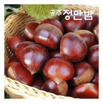 23년산 공주밤 정안 알밤 햇밤 4kg(대품/개당20g내외) 푸드마인