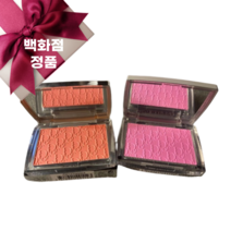 디올 백스테이지 로지 글로우 dior backstage rosy glow, 004 코랄