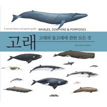 고래:고래와 돌고래에 관한 모든 것, 사람의무늬, 애널리사 베르타 편/김아림 역