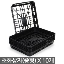 초화상자 10P - 모종 트레이 육묘상자 화분 포트상자 포트운반 모종운반 삽목상자 초화박스 육모박스 이색포트 연결구 연결포트, 02_세인_초화상자(중) X 10개