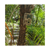 포획틀 멧돼지 덫 유해동물 고라니 반자동 구조망, H4 고급형+충전식 배터리