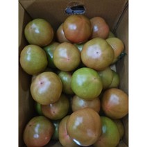 [과애모]완숙 토마토 10kg, 소과(4,5번)