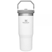 스탠리 스플로 스테인리스 스틸 빨대 텀블러 크림, 30oz, Polar