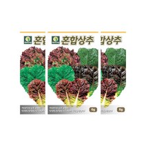 디안몰 채소씨앗 상추씨앗 혼합상추 3g 3개입