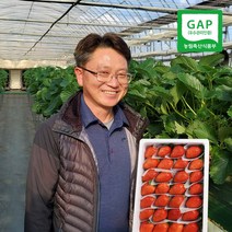 [생산자직송] 충북옥천 신홍석님의 GAP 생딸기(설향/특품) 1kg, 단품