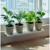 창틀선반 베란다 창문 진열대 정리대, 23cm, 블랙, 18cm