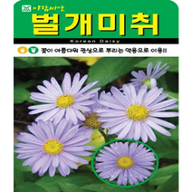 벌개미취씨앗500립 꽃씨앗 아람종묘 꽃이 아름다워 관상으로 뿌리는 약용으로 이용