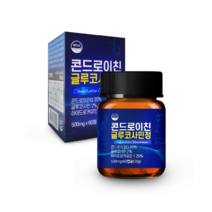 웰리즈 콘드로이친 글루코사민정 2개월분, 60정, 1개