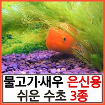 수초하우스) 물고기 새우 은신용 쉬운 수초 3종 세트, 싸게더많이(총30줄기)