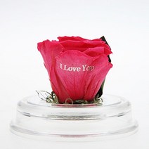 프로포즈 아크릴돔I Love You 화이트데이 선물 mg151ea, 슈가핑크