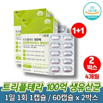 장에좋은 실온보관 온가족 유산균 락토바실러스 카제이 람노서스 플란타럼 플란타룸 애시도필러스 SYNBIOTICS 학생 직장인 임산부 임신부, 2박스