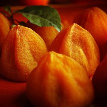 영화농산 영화청과 특급 국내산 곶감 3k500g 만들기 만드는법 효능 대봉 말리기 반건시 상주, 갈색, 상세페이지 별도표기