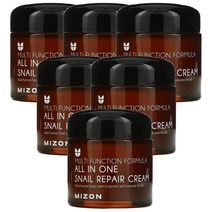 Mizon (미즈온) Mizon 올인원 스네일 리페어 크림 75ml(2.53fl oz), 6개