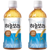 하늘보리 340mlx24펫 보리차 보리음료, 단일 총 수량, 340ml