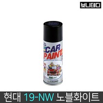 일신 [현대자동차] 카페인트 스프레이 19-NW, 1개