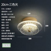 베란다 조명 인터넷 블록버스터 모던 미니멀리스트 침실 클로크룸 유리 천장, [01] 20cm tricolor light
