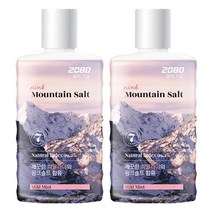 2080 퓨어가글 마운틴솔트 마일드민트향 750ml X 2개