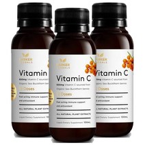 하커허벌즈 (HARKER HERBALS) 하커 허벌스 비 웰 비타민 C 650mg 100ml X 3개, 300ml, 1세트