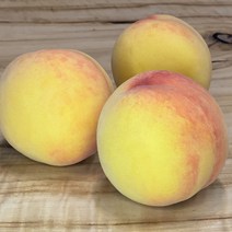 프리미엄 고당도 햇사레 장호원 복숭아 황도 말랑이, 4kg (11-12과), 1개