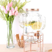 자체제작 선인장 디스펜서, 1개, 5L