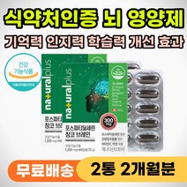 인지력 저하 기억력 감퇴 두뇌 뇌 건강 영양제 추천 인지능력 개선 예방 뇌에좋은 두뇌에좋은 노인 어르신 부모님 60대 70대 80대 두뇌엔 포스파티딜 포스타딜 세린 징코 피에스